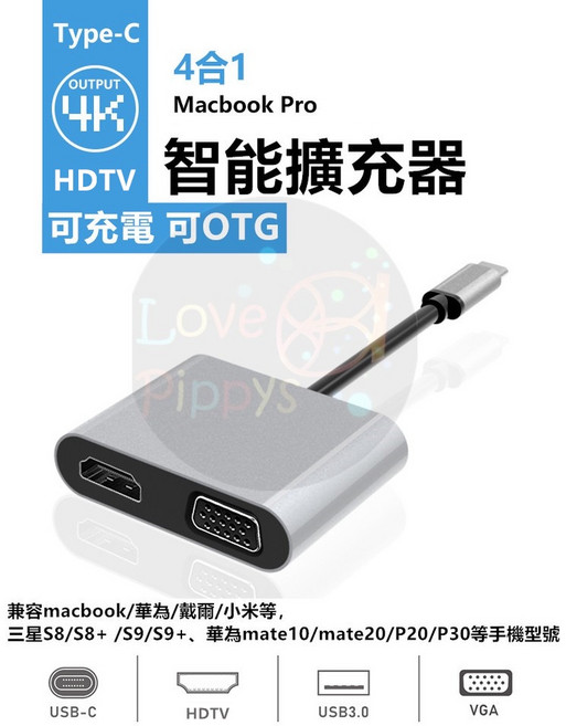 Type-C 轉 HDMI VGA 轉換器 蘋果電腦 iPad Pro MacBook, 1個