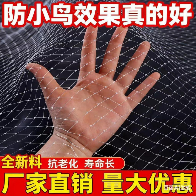 防鳥網 尼龍防鳥網 果園 陽臺防護網, 1個, 抗老化全新料2.0網孔 尼龍 ,30米寬100米長