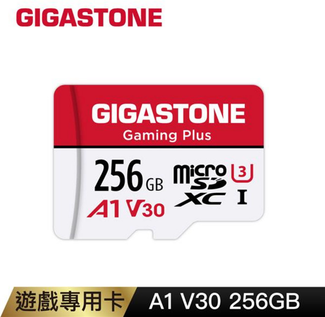 GIGASTONE Gaming Plus microSDXC A1 V30 256GB 遊戲專用記憶卡, 1個, 1GB