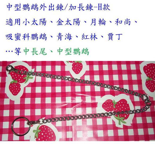 *來成鳥園*鸚鵡腳鍊 H款 適合金太陽、小太陽、月輪、和尚、吸蜜科鸚鵡、賈丁…等中長尾、中型鸚鵡