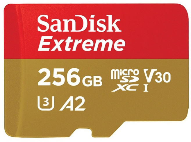 SanDisk Extreme microSDXC UHS-I (V30)(A2) 256GB, 1個