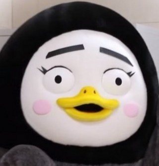 제품 관련 이미지