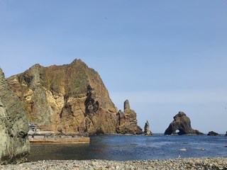 구매자 사진 참고
