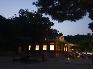 구매자 사진 참고