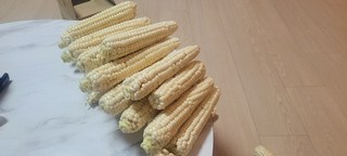 청담채 괴산 대학 찰옥수수, 30개, 특 17cm내외 청담채 괴산 대학 찰옥수수, 30개, 특 17cm내외 사용감 참고 사진 5