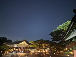 구매자 사진 참고