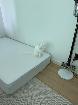 파도소리님의 리뷰 사진