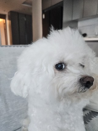 제품 관련 이미지