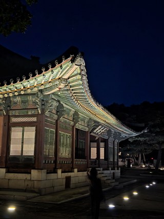 구매자 사진 참고