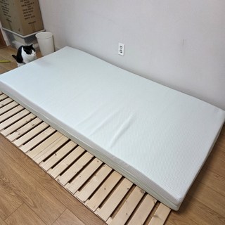 이나라님의 리뷰 사진