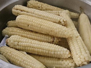 청담채 괴산 대학 찰옥수수, 30개, 특 17cm내외 청담채 괴산 대학 찰옥수수, 30개, 특 17cm내외 사용감 참고 사진 2