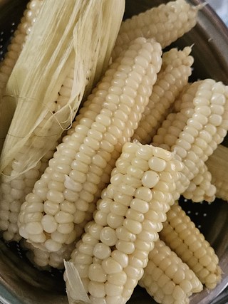 갓 수확한 듯 파릇한 청담채 괴산 대학 찰옥수수