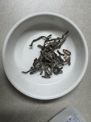 쿠라콘 시오콤부 염장다시마 대용량, 47g, 1개 쿠라콘 시오콤부 염장다시마 대용량, 47g, 1개 사용감 참고 사진 7