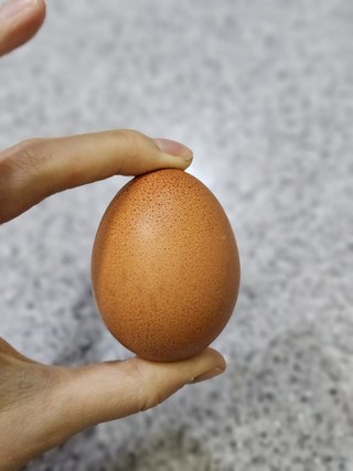삼초마을 계란 자연방사 유정란 무항생제, 40구, 1개 삼초마을 계란 자연방사 유정란 무항생제, 40구, 1개 사용감 참고 사진 9