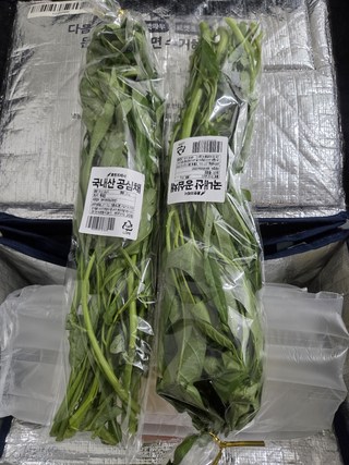 국내산 공심채, 150g, 1개 국내산 공심채, 150g, 1개 사용감 참고 사진 5