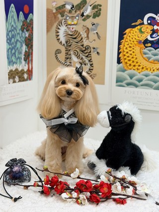 제품 관련 이미지