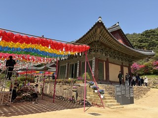 구매자 사진 참고