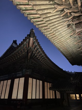 구매자 사진 참고
