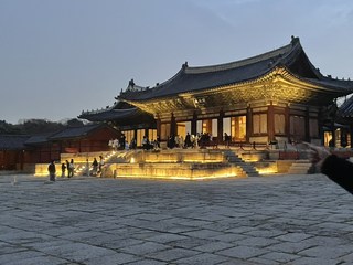 구매자 사진 참고
