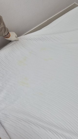 김*은님의 리뷰 사진