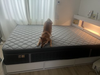 유지영님의 리뷰 사진