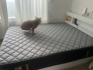 유지영님의 리뷰 사진