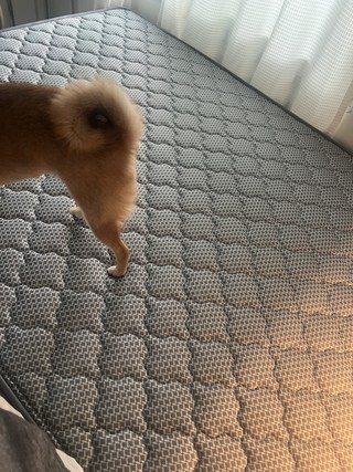 유지영님의 리뷰 사진