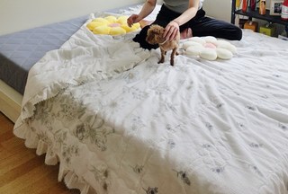 김주희님의 리뷰 사진