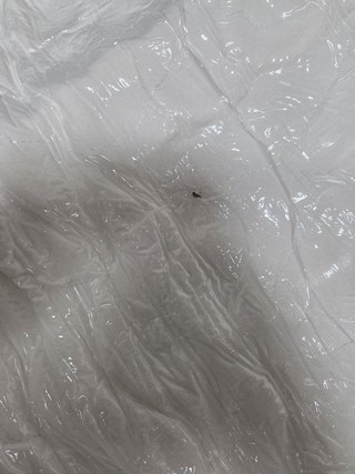 김대인님의 리뷰 사진