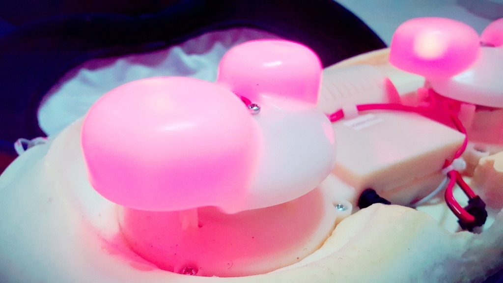 제스파 플러스 목어깨 등 허리 마사지기 이미지 3