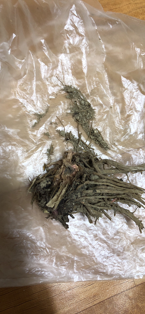 토종마을 국산 엉겅퀴 300g, 1개 맛있게 먹은 솔직 후기 - 상품 이미지 3