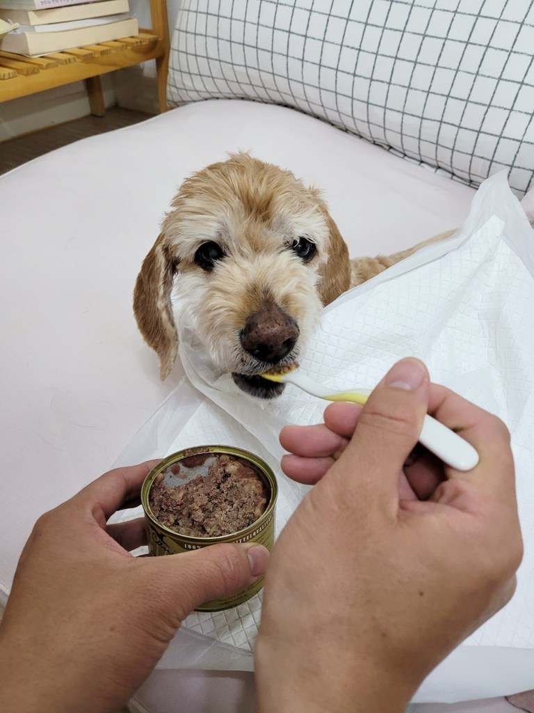 테라카니스 전연령 강아지 클래식 사료 솔직 후기 | 실제 사용자 리뷰 총정리 - 상품 이미지 3
