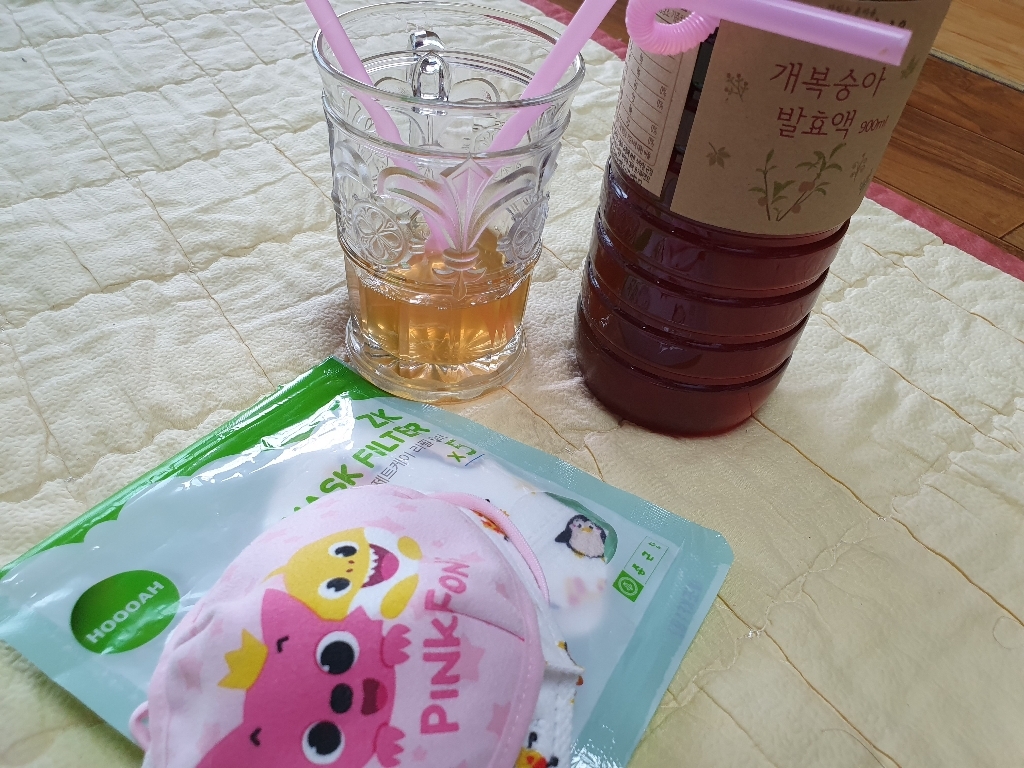 담촌 개복숭아 수제 발효액 돌복숭아 산복숭아 액기스 청 / 효소 X 500ml, 1개 이미지 3