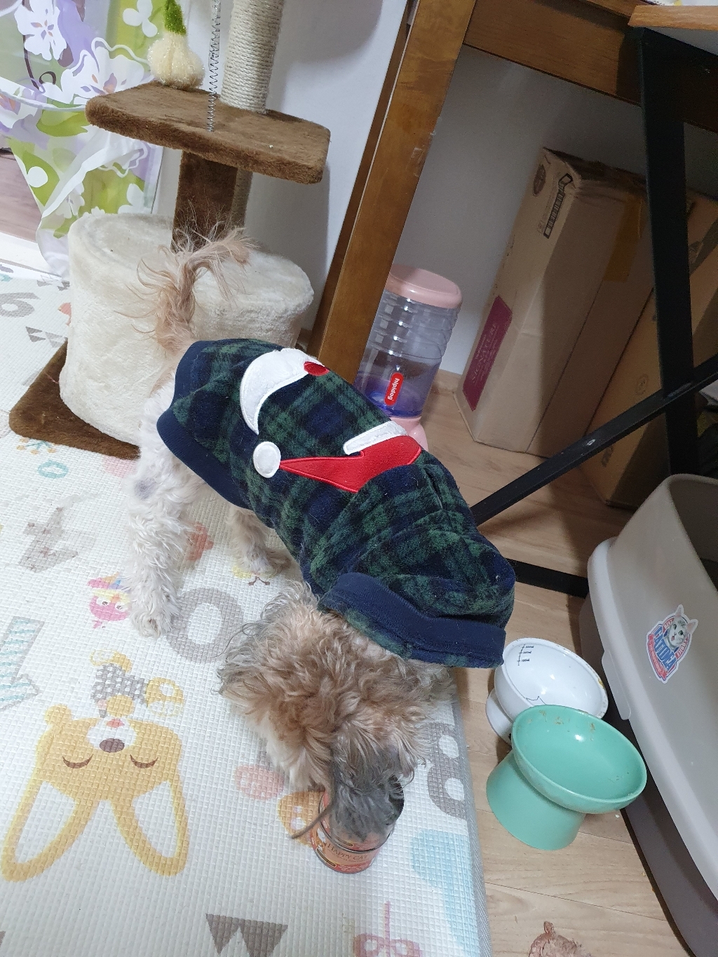 리뷰 이미지