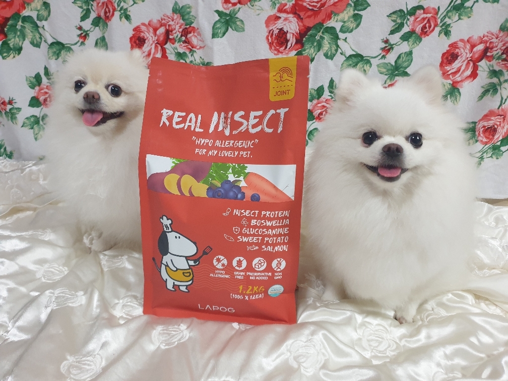 라포그 강아지 리얼인섹트 기능성 사료, 다이어트(체중감소), 1.2kg, 1개 이미지 2