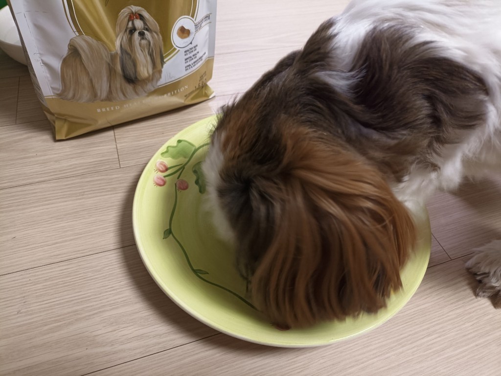 로얄캐닌 시츄 어덜트 1.5kg 이미지 3