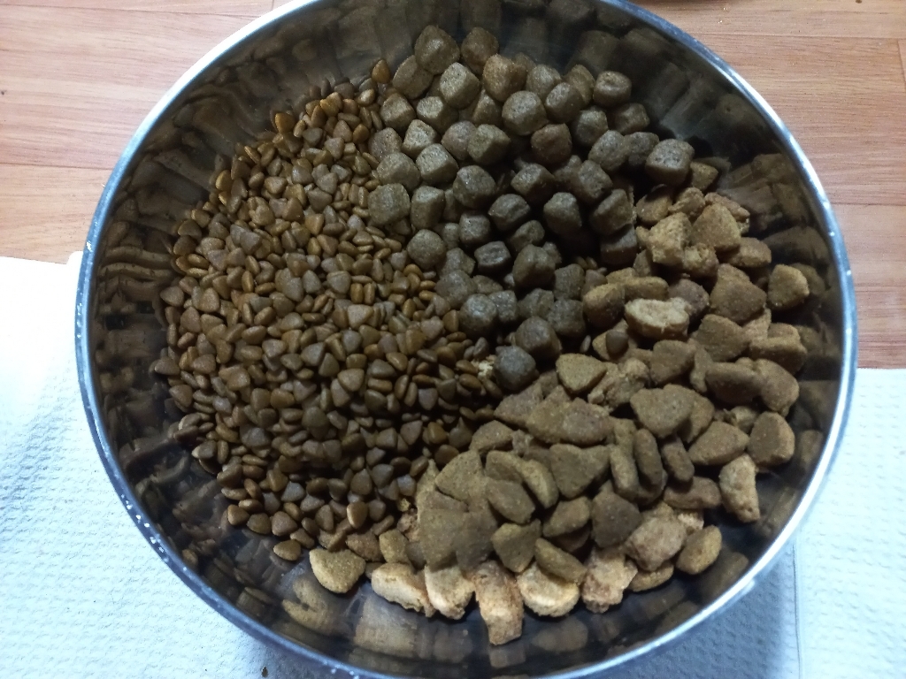 프로플랜 어덜트 강아지 슈레드블랜드 닭고기와 쌀 건식사료 이미지 3