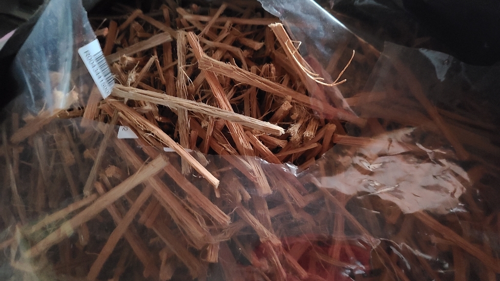 드랍쉽 해죽순 1kg, 1개 이미지 3