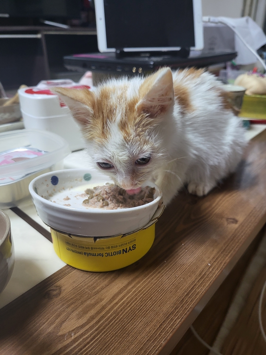 생후 1개월 2개월 이상 아기고양이 새끼고양이 이유식 습식 사료 이미지 4