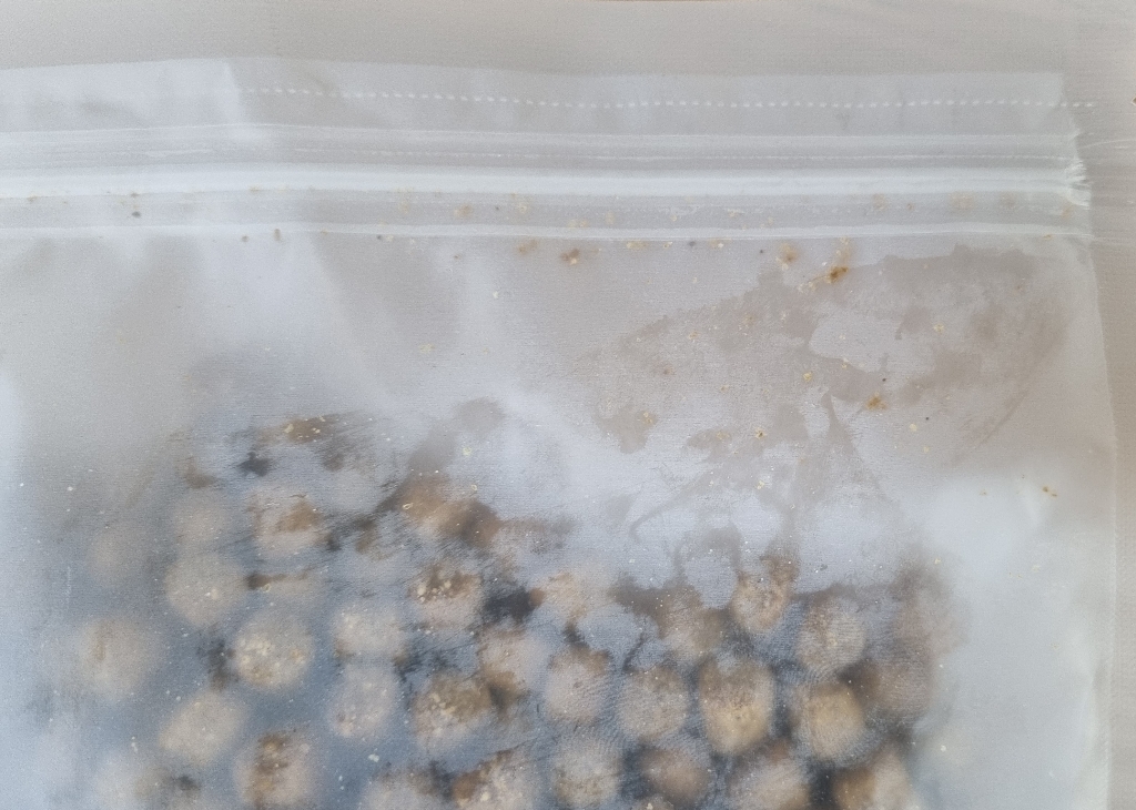 이즈칸 독 소프트 살몬 리뉴얼 솔직 후기 | 실제 사용자 리뷰 총정리 - 상품 이미지 4
