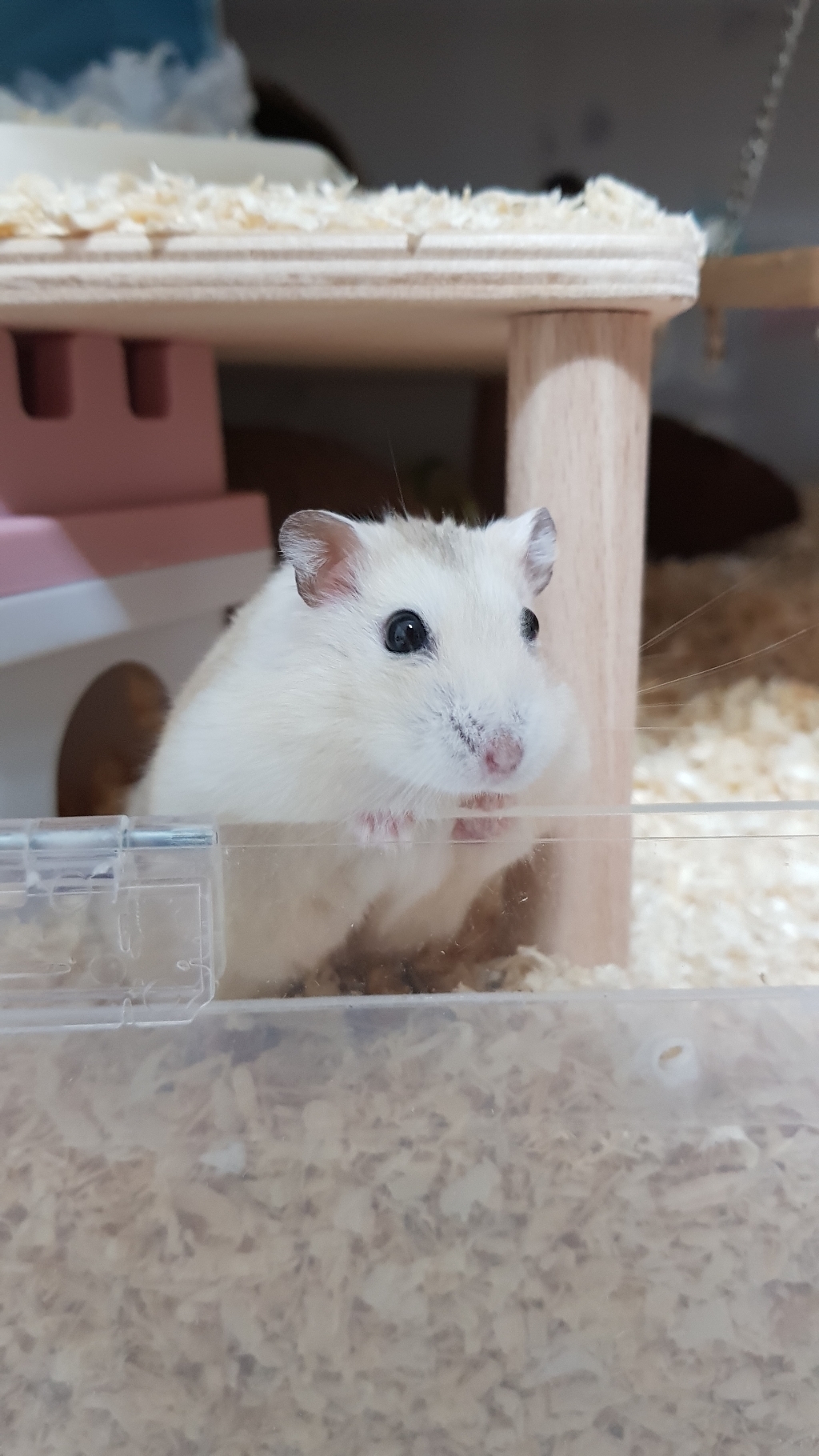 프리미엄스판 베딩 이미지 4