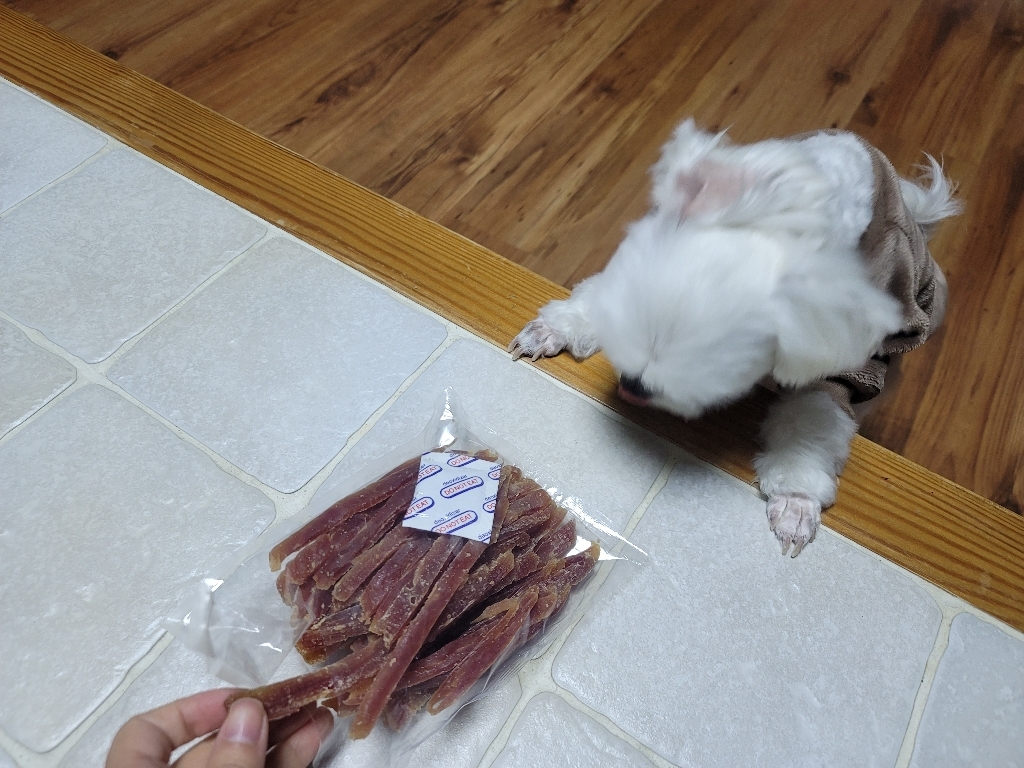 벨버드 강아지 치킨 밀크껌 스몰 이미지 4