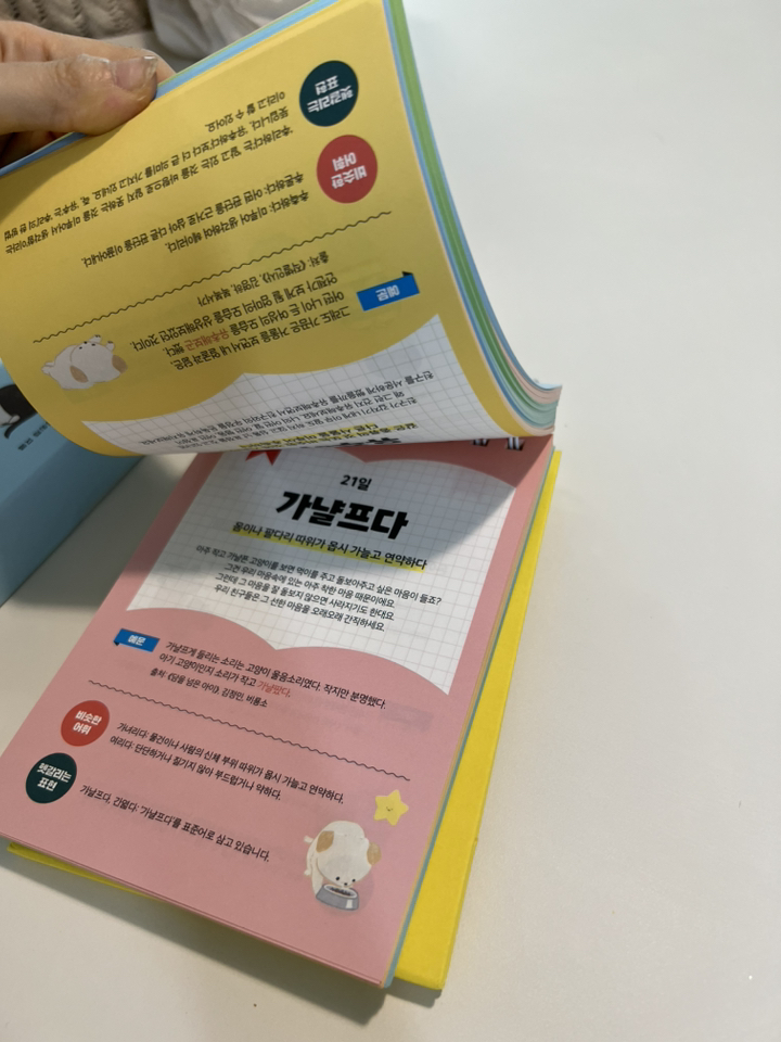 이은경쌤의 초등어휘일력 365 이미지 2