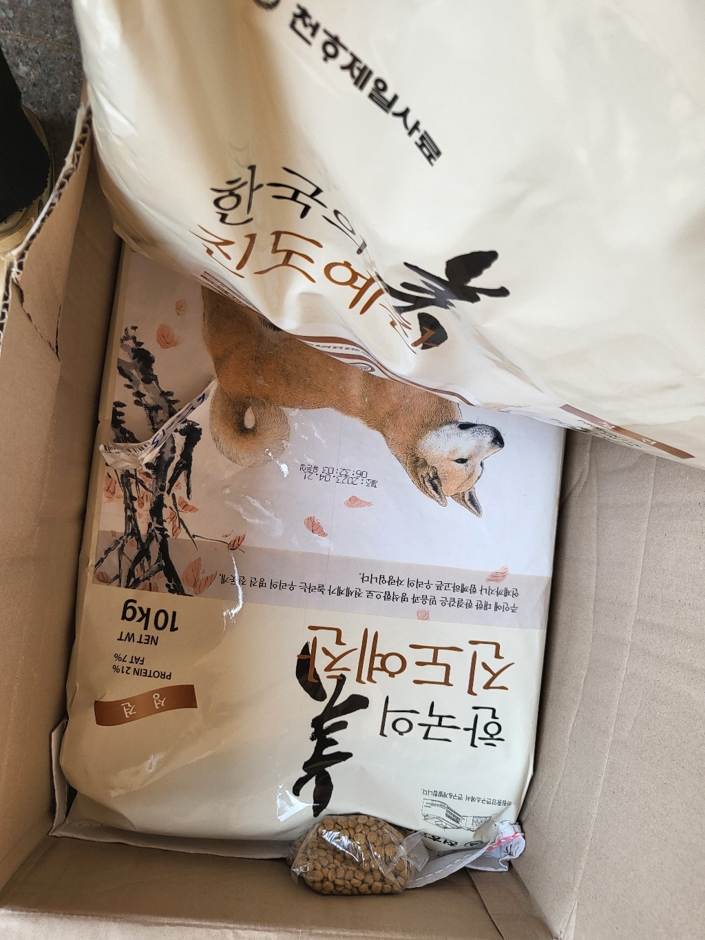 리뷰 이미지