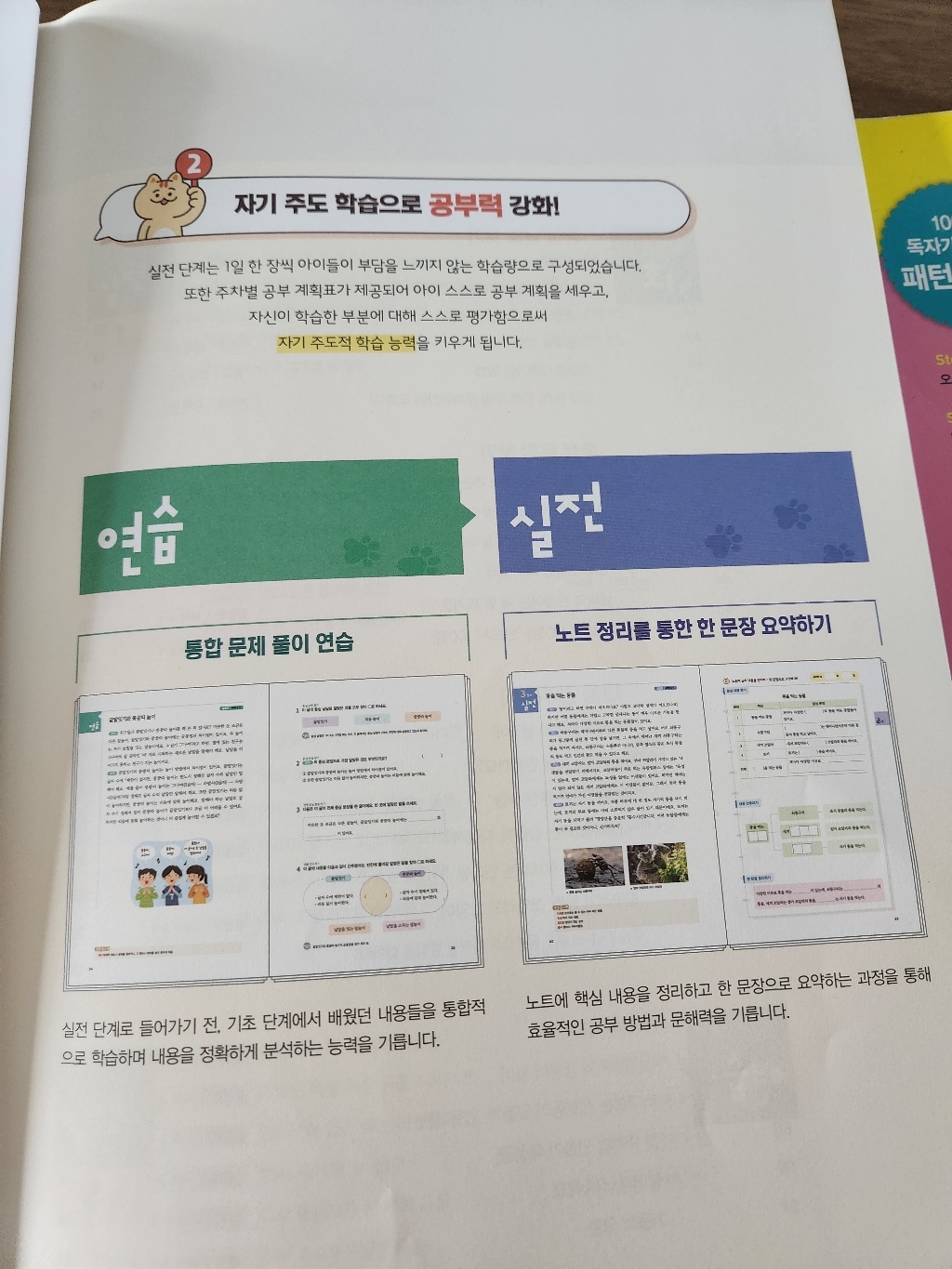 초등 문해력 한 문장 정리의 힘 이미지 4