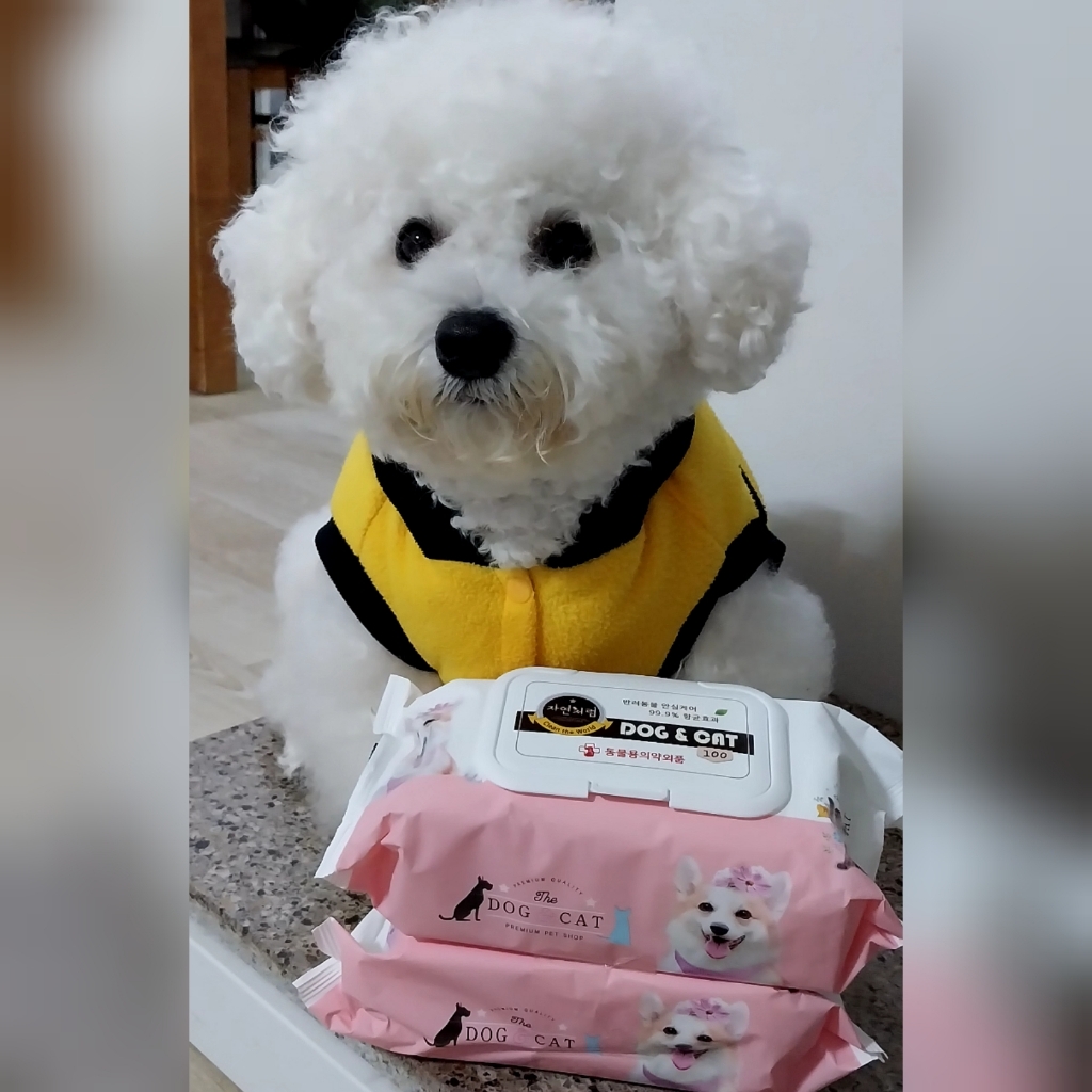 자연처럼 도그앤캣 반려동물 물티슈 랜덤 발송 이미지 4