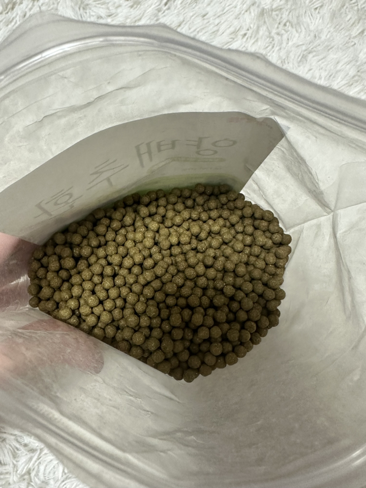 갑당약초 양배추환 600g, 1개 이미지 3