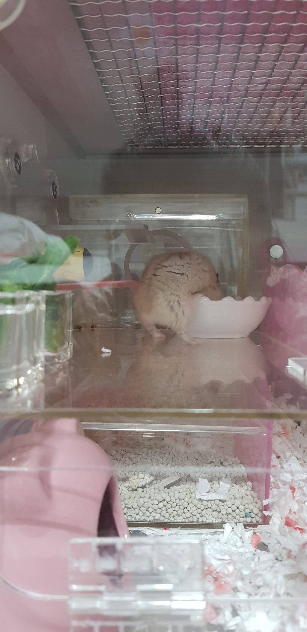 프리미엄스판 베딩 이미지 3