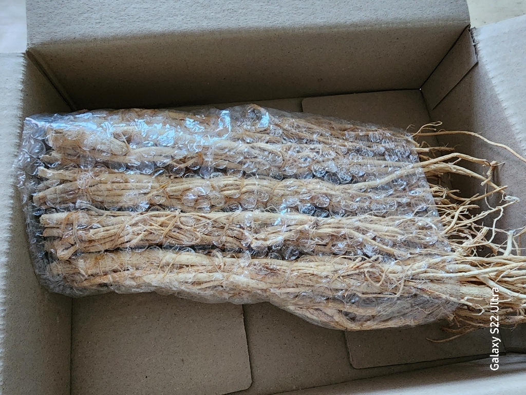 황기 단 삼계탕 재료 중국산 450g 이미지 4