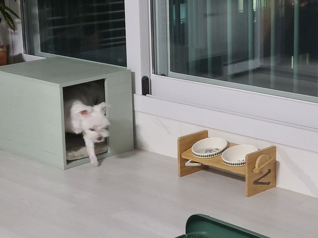 독톡 배변판, 올리브그린, 1개 이미지 2